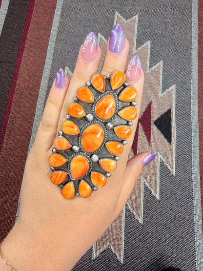 Spiny Cluster Ring
