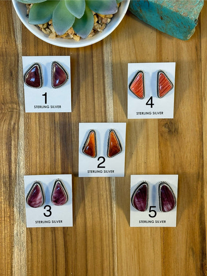 Varied Spiny Triangle Earrings