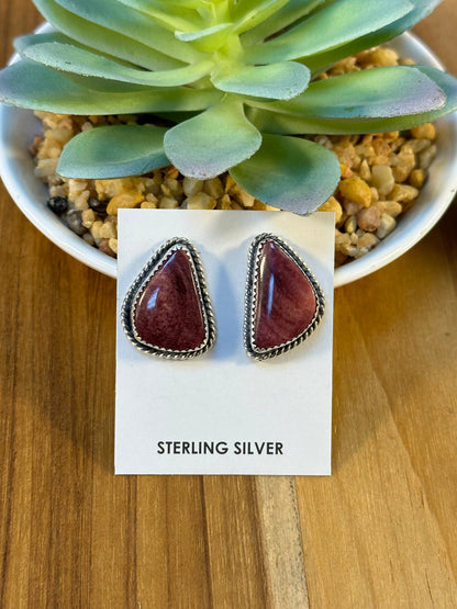Varied Spiny Triangle Earrings