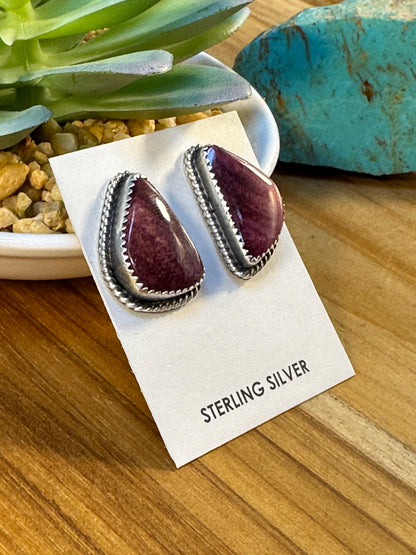 Varied Spiny Triangle Earrings