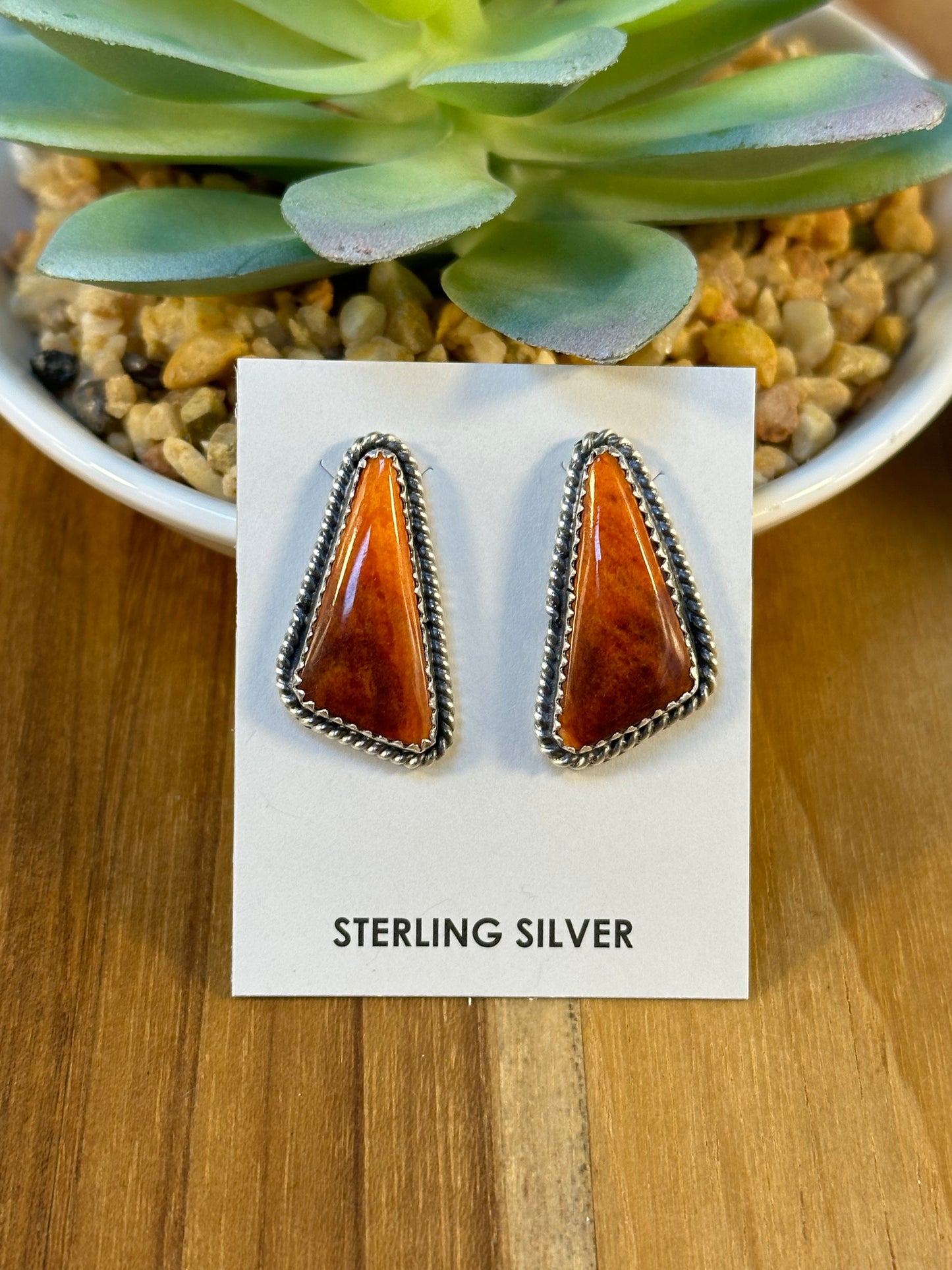 Varied Spiny Triangle Earrings