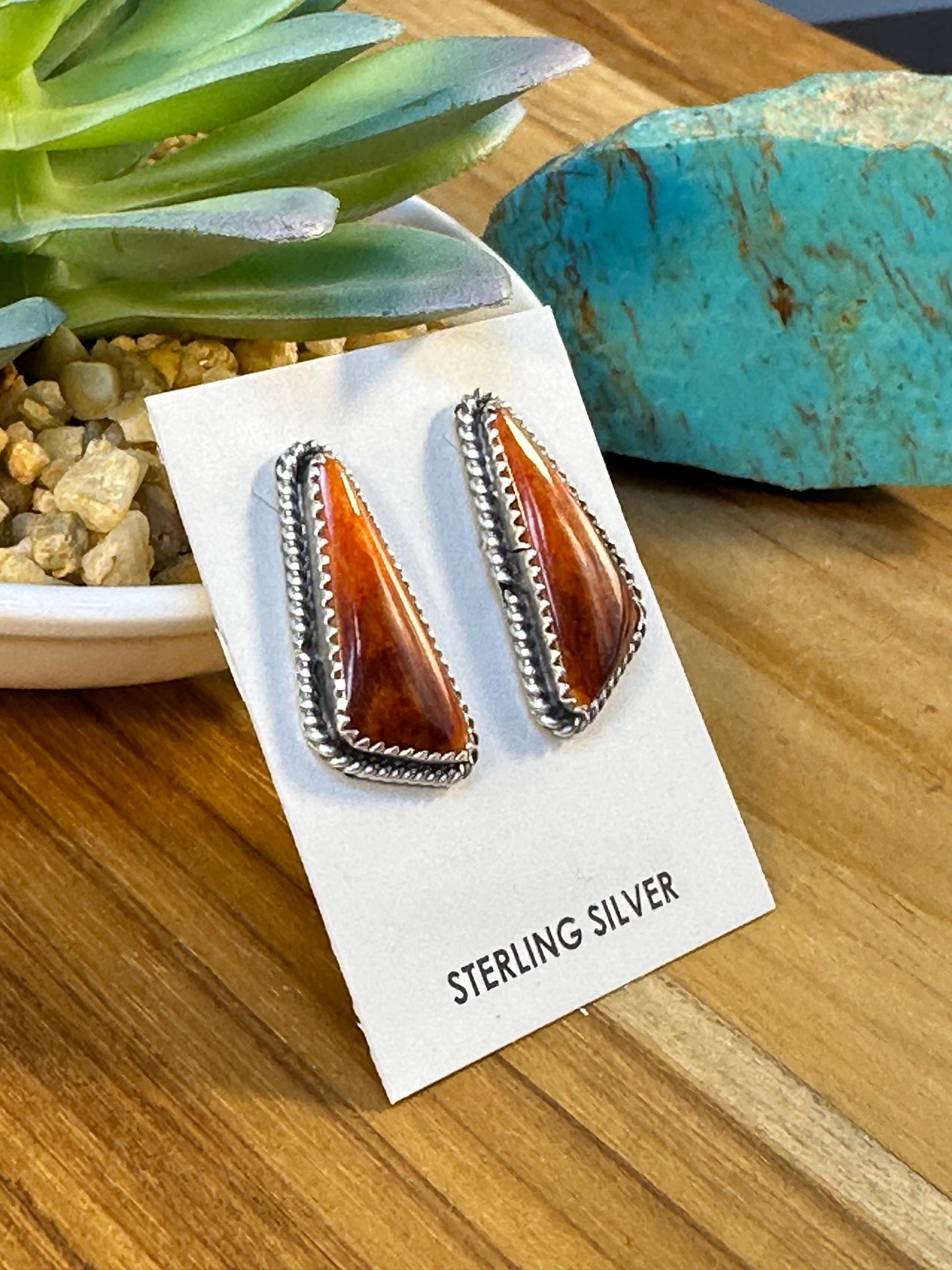 Varied Spiny Triangle Earrings