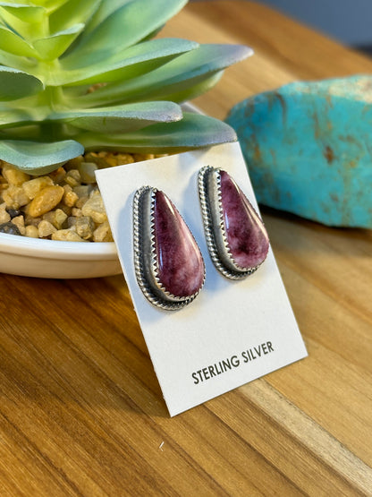 Varied Spiny Triangle Earrings