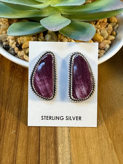 Varied Spiny Triangle Earrings