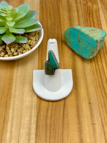 Kingman Turquoise Lighting Sterling Bolt